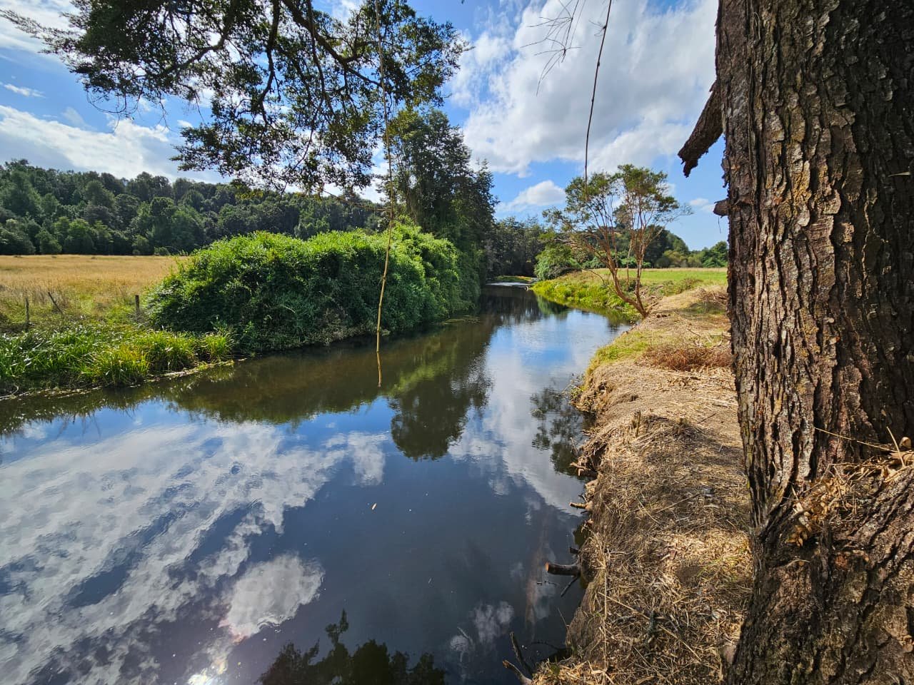 Vertientes Naturales